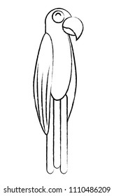 Macaw bird design