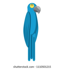 Macaw bird design