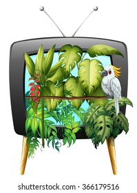Macaw bird in the jungle illustration