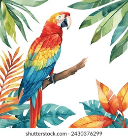 macaw bird painting watercolor vector illustration for background