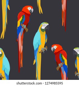 Macaw Bird Pattern Seamless