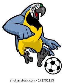 macaw bird playing soccer