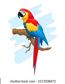 Macaw Bird Realistic In Vector