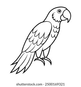 Macaw Bird Vector Illustration - Cartoon, Clipart, and Line Art Design