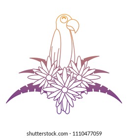 Macaw birds design