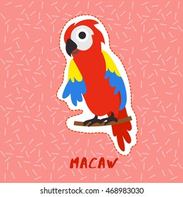 Macaw : Cute Animal Set :  Vector Illustration