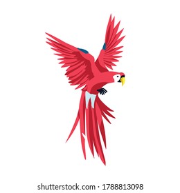 Ave tropical exótica de Macaw. Hermoso loro con un fuerte plumaje rojo. Elemento de diseño de la fauna y flora tropical ilustración vectorial aislada en fondo blanco