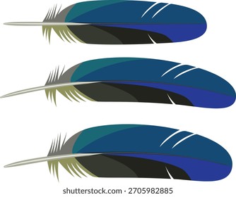 Farbvektor für die Macaw-Feder in Blau.
