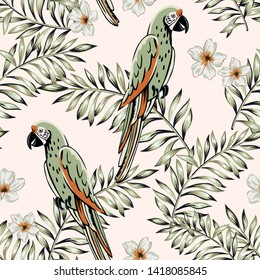 Macaw green parrots, palm leaves, plumeria flowers, light background. Vector floral seamless pattern. Tropical illustration. Exotic plants, birds. Summer beach design. Paradise nature