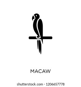 Macaw icon. Macaw symbol design from Animals collection. Simple element vector illustration on white background.