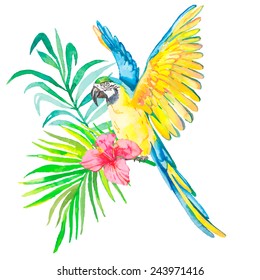 Macaw isolated on white background. Palm leaves and tropical flower. Tropical parrot. Exotic. Vector for your design.