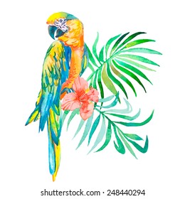 Macaw isolated on white background. Palm leaves and tropical flower. Tropical parrot. Exotic. Vector for your design.