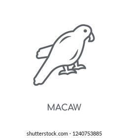 Macaw linear icon. Modern outline Macaw logo concept on white background from animals collection. Suitable for use on web apps, mobile apps and print media.