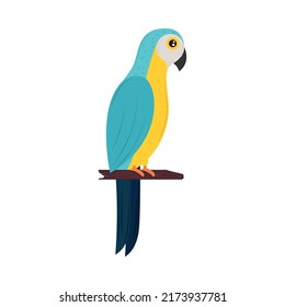 macaw en icono de rama aislado