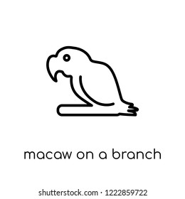 macaw on a branch icon. Trendy modern flat linear vector macaw on a branch icon on white background from thin line Brazilian icons collection, outline vector illustration