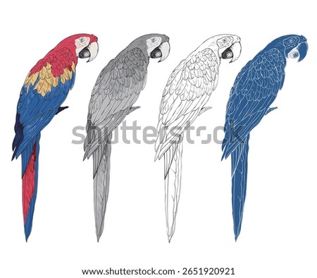  Macaw paradise artwork. Tropical bird print design. Parrot set.
