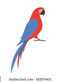 Macaw parrot. Abstract parrot on white background. EPS 10. Vector illustration