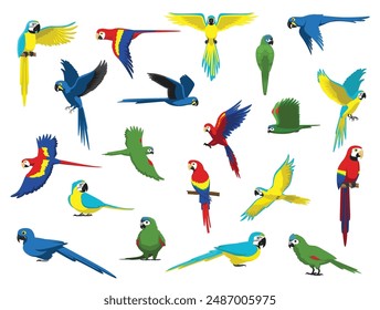 Macaw Parrot Bird Various Species Cartoon Vector Character Set