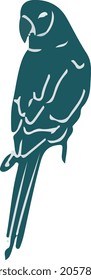 macaw parrot bird vector art