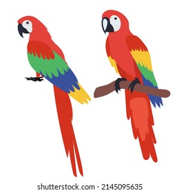 macaw parrot flat design, isolated, vector