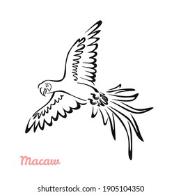 Papagei in der Cartoon-Illustration von Fliegenvektoren. Schwarz-Weiß-Silhouette, Umriss. Tropische Vogelsymbol.