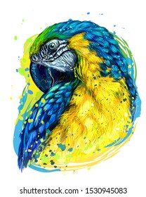 
Macaw parrot. Hand-drawn, artistic portrait of a blue-and-yellow macaw parrot on a white background in a watercolor style.