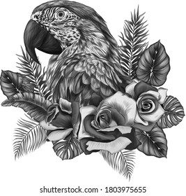 macaw parrot head with  flowers and palm leaves print composition vector illustration black, white, print, tattoo, gray, coloring, monochrome