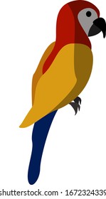 Loro macao, ilustración, vector sobre fondo blanco.