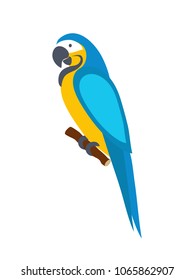 Macaw parrot. Isolated on white background. Vector illustration.