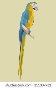macaw parrot  in low polygon style on a light background
