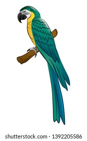 Macaw parrot mixed blue and yellow line art color in vector illustration