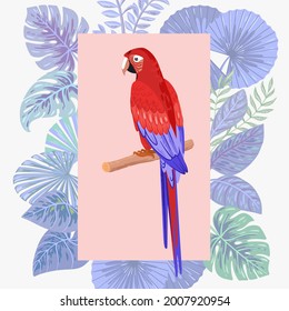 Macaw parrot on a background of tropical leaves. Vector illustration.