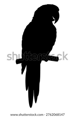 Macaw parrot silhouette Ara macao perched on branch vector illustration minimalist flat design isolated on white background tropical bird icon for exotic wildlife travel nature project