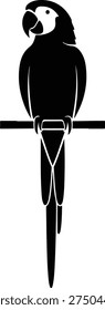 Macaw parrot silhouette sitting on a branch, isolated black and white vector illustration of a tropical bird.