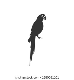 Macaw Parrot Silhouette Vector On A White Background