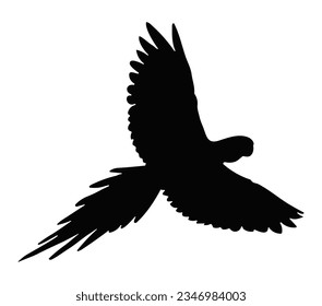 Macaw parrot silhouette vector on a white background.