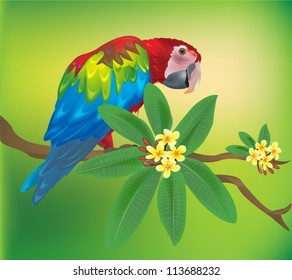 Macaw parrot sitting on a branch with tropical flowers