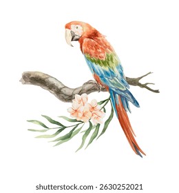 Macaw parrot sitting on a tropical branch with plumeria flowers, watercolor. Hand drawn vector illustration. For postcards, invitations, summer big banners, posters, labels.