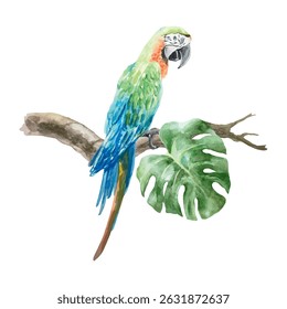 Macaw parrot sitting on a tropical branch, watercolor. Hand drawn vector illustration. For postcards, invitations, summer big banners, posters, labels.
