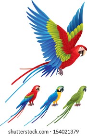 Macaw parrot spread wings and tree colorful sitting Aras photo realistic vector