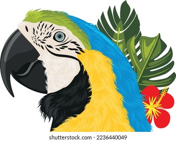 Macaw parrot and tropical leaves. Vector