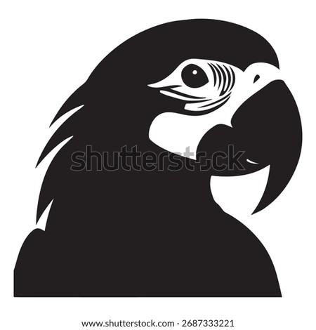 macaw parrot vector icon with a white background