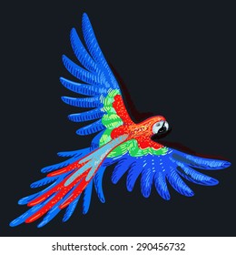 Macaw parrot, vector illustration isolated on dark background 