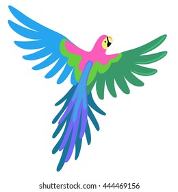 Macaw parrot, vector illustration isolated on white background 