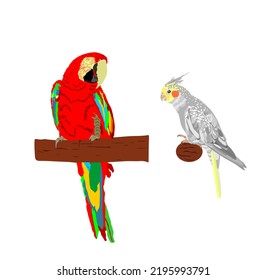 Macaw parrot vector silhouette illustration isolated on white background. Ara realistic vector portrait. Cockatiel Parrot Corella. Bird from South America. Beautiful home pet from wild jungle nature.