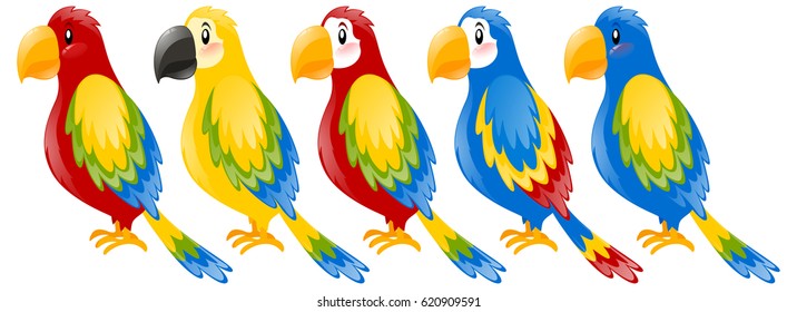Macaw parrots in different colors illustration