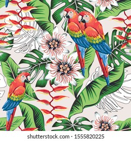 Macaw parrots, green banana, monstera palm leaves, passion flowers background. Vector floral seamless pattern. Tropical illustration. Exotic plants, birds. Summer beach design. Paradise nature