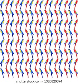Macaw parrots seamless background tropical birds vector pattern  fabric design