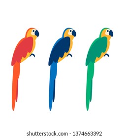 Macaw parrots vector illustration. Three flat styled parrots isolated on white background. Design element for printing, patterns, cards.