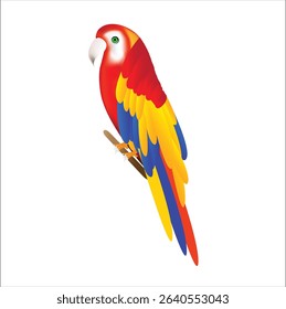 A macaw perched on a branch